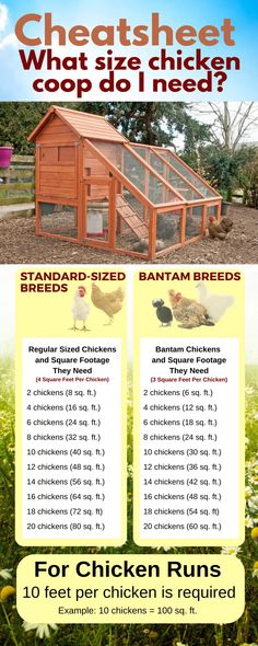 the chicken run flyer is shown with information about what to do and where to put it