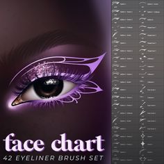 an eyeliner brush set for photoshopped with the text face chart on it