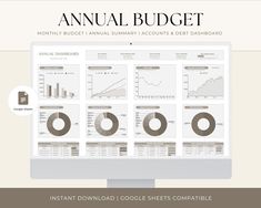 the annual budget sheet is displayed on a computer screen, with graphs and pies