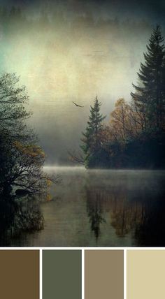 an image of a foggy lake with trees in the background