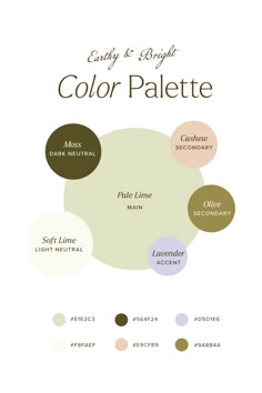 the color palette is shown with different colors