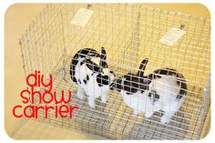 two black and white cats in a cage with the words diy show carrier on it