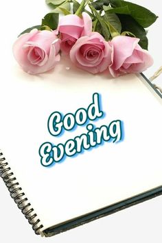 a notepad with roses and the words good evening on it