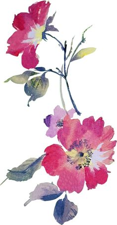 watercolor painting of pink and red flowers