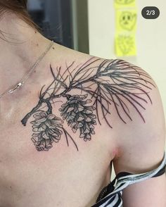 the back of a woman's shoulder with pine cones and branches tattooed on it