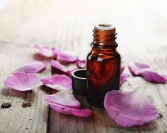 Wrinkle serum - neroli, lavender and rosemary mixed with frankincense, fennel and lemon Rose Oil Benefits, Lavender Oil Uses, Essential Oil Menstrual Cramps, Essential Oil Safety, Essential Oils Guide, Essential Oil Diffuser Recipes, Healthy Herbs, Oil Diffuser Recipes, Aromatherapy Essential Oils