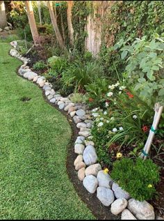 a garden filled with lots of rocks and plants