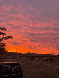 the sun is setting over an open field with cows