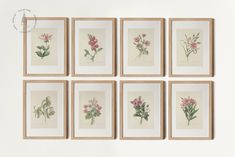 nine framed flowers are arranged on the wall