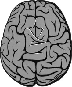 a drawing of a human brain showing the area where it is divided into two sections