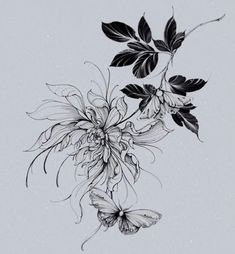 black and white drawing of flowers with butterflies