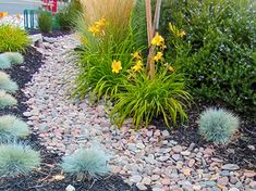 a garden with rocks and plants in it