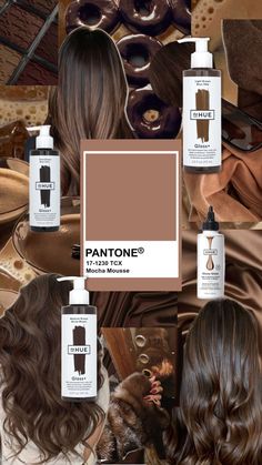 Loving the 2025 Pantone color Mocha Mousse! Imagine haircolor so luscious and yummy from Glossy Glaze Light to Medium Brown, Gloss+ Light Brown or even mixing Gloss+ Sheer with Cool Medium Brown! Light Hair Ideas, Hair For Olive Skin, Brunette And Red Hair, Modern Hair Styles, Acv Hair Rinse, Colors For Hair, Acv Hair, Hair Dye Inspiration, Beauty And A Beat