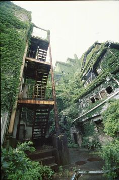 an abandoned building with stairs leading up to the second floor and green vegetation growing all over it