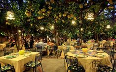 an outdoor restaurant with tables and chairs covered in yellow tablecloths, surrounded by trees