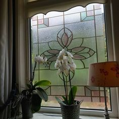 a vase with flowers sitting on a windowsill next to a lamp and window sill