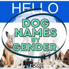 a group of dogs sitting next to each other with the words dog names by gender