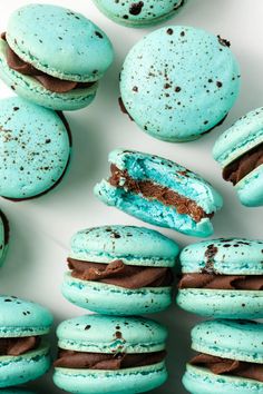 blue and chocolate macaroons with one bite missing from the top, surrounded by other macaroons