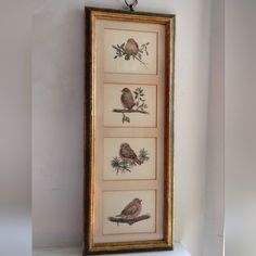 three framed birds are hanging on the wall