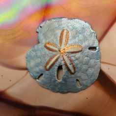 a blue sand dollar with an orange starfish on it's side and two holes in the middle