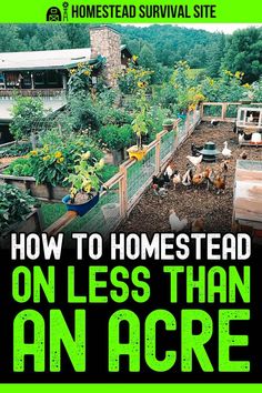 a book cover with the title how to homestead on less than an ace