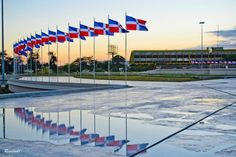 several flags are reflected in the puddles of water at an empty parking lot near a building