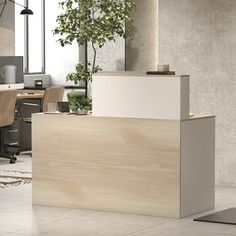 an empty office with desks and chairs in the middle of it, next to a potted plant