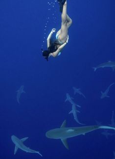 a woman swimming in the ocean surrounded by sharks