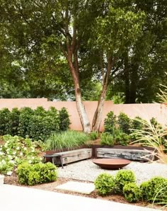 an outdoor garden with trees and plants in the center, surrounded by graveled area