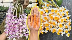 two hands are holding flowers in front of the camera and another hand is reaching out to touch them