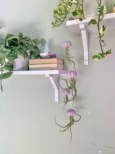 two white shelves with plants and books on them