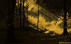 the sun is shining through the trees in the dark forest with yellow light coming from behind it