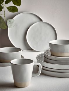 white dishes and cups with green leaves in the background