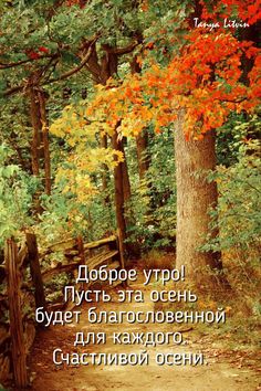 a path in the woods leads to a wooden fence with an orange tree on it