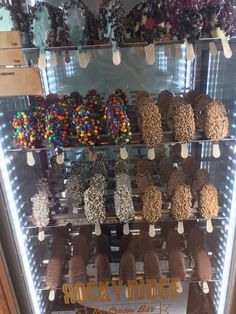 a display case filled with lots of different kinds of treats