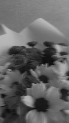 black and white photograph of flowers with umbrellas in the background