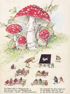 an old children's book with illustrations of mushrooms and picnic tables in the grass