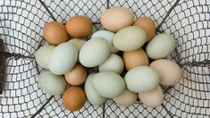 several eggs in a wire basket on a white tablecloth with netting around the edges