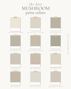 the best paint colors for your home in neutrals, browns and whitest tones