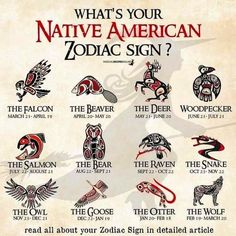 what's your native american zodiac sign? - the raven, the wolf, the eagle, the snake, and the owl