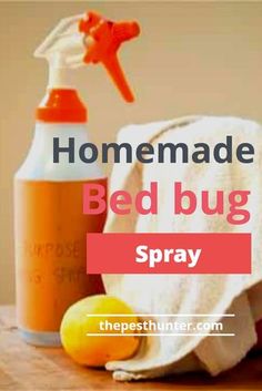 Bug Spray Essential Oils, Bed Bugs Essential Oils, What Kills Bed Bugs, Bed Bug Remedies, Mattress Spray, Essential Oil Bug Spray, Get Rid Of Bed Bugs, Homemade Beds