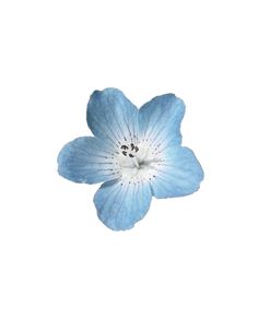 a single blue flower is shown in the air