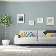 a living room filled with furniture and pictures on the wall next to a potted plant