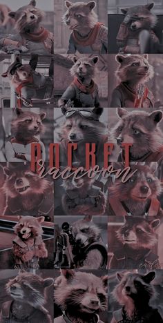 a bunch of raccoons that are standing in front of each other with the words rocket on them