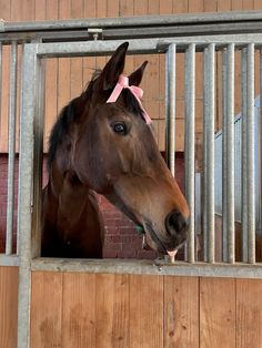 a brown horse with a pink ribbon on its head looking over a fenced in area