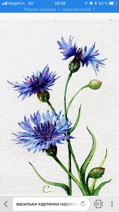 watercolor painting of blue flowers on white paper