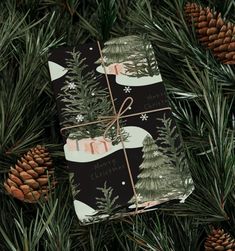 two wrapped presents sitting on top of a tree next to pine cones and fir trees