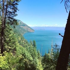 a lake surrounded by trees on a sunny day