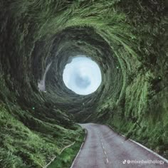 an image of a road going through a tunnel that looks like it's made out of grass