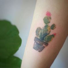 a small cactus tattoo on the arm